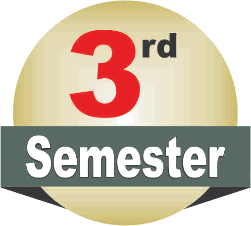3 Semester